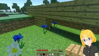 Building a house in Minecraft