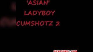 leckere asian arsch  www.arabish.c.la