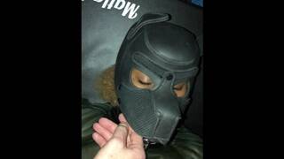 Vixen's first night collared and vive wand in latex petplay pupsuit