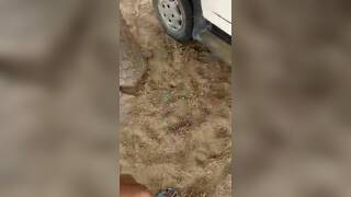 Desi Girl Enjoy with BF in Car While Friends Record