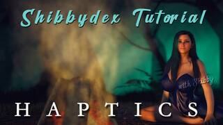 Shibbydex Haptic Guide