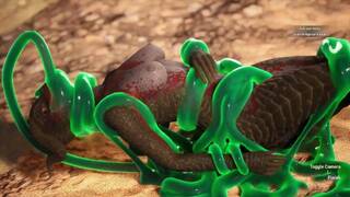 All Sex Scenes + halloween scenes Carnal Instinct + multiple characters