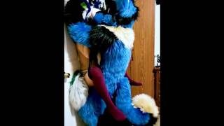 Sucario Breeds Pixie in a door swing