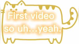 ~First video~