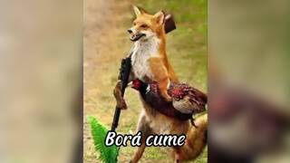 Brothers fucking in the bathroom