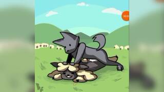 Wolf x black sheep (gay)