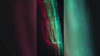 I Won’t Tell If You Won’t Tell by Oye Loca Feat Lana Steven