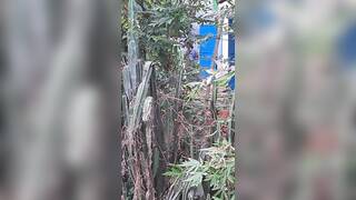 Bengali Bhabhi Naked Bath Video