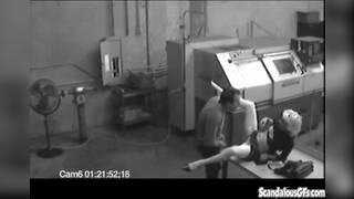 Co workers masturbating in horny office warehouse