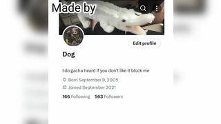 Late Merry Christmas