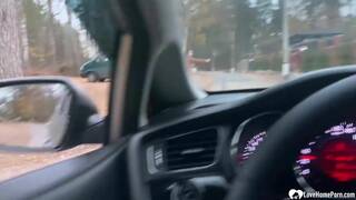 Picked up babe gets fucked by the car