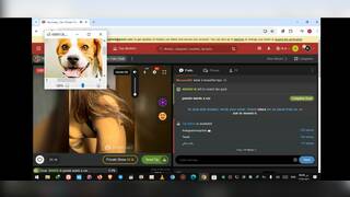 Yasminaa arabian cheap homeless fucker with a dog face