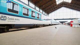 Alyssa Reece and Amirah Adara in several lesbian and lesbian dildo scenes together