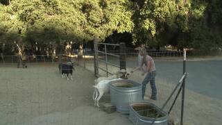 Allie Haze & Ariel X