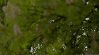 Leila Smith & Tess Lyndon