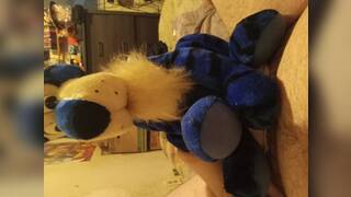 Stuffed animal fucked by me