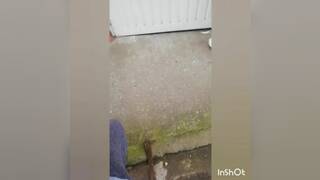 Public Sex, Anal Play & Blowjob with a Big-Ass Italian Babe