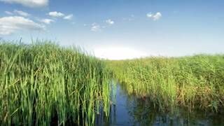 Swimming Ends with Hardcore Outdoor Sex