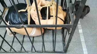 Pet girl in cage 24
