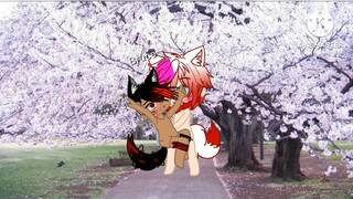 reguest for brucefisher