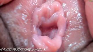 A tour inside a girl's vagina