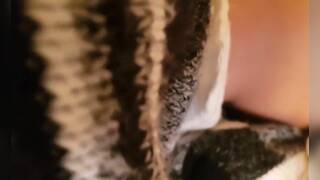 College Girl's Orgasmic After-Party in Mexico District