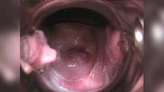 pornographic video files with one penis and two female genitalia