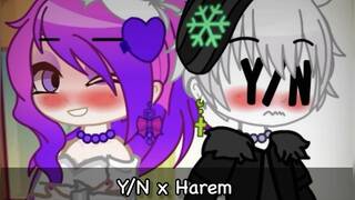 Y/N x Harem (Part 1)